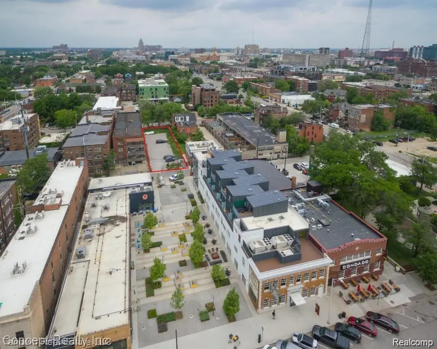 655 W Alexandrine, Detroit, MI 48201 - #3