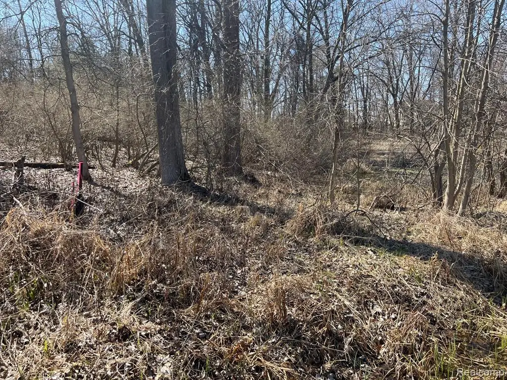 VL 1.98 Ac Lake Lapeer, Metamora, MI  - Image #1