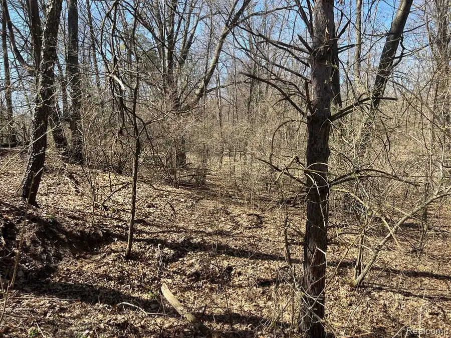 VL 1.98 Ac Lake Lapeer, Metamora, MI  - Image #2