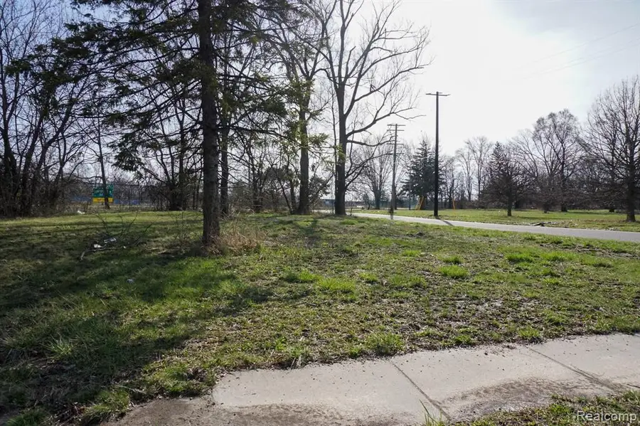 13500 Patton, Detroit, MI 48223 - #3