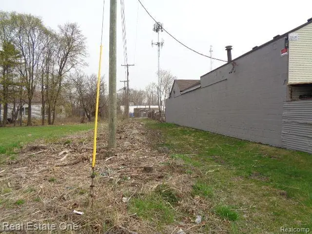 11638 Saint Louis, Hamtramck, MI 48212 - #2