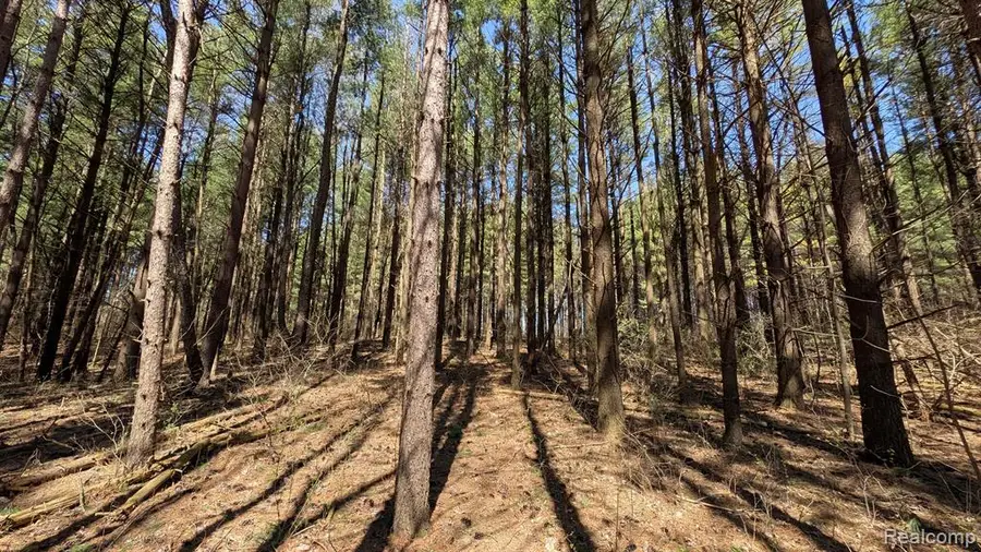 3665 Arivaca, Millington, MI  - Image #3