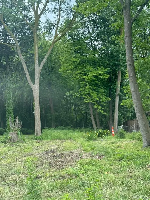 24960 Crocker, Harrison Township, MI  - Image #1