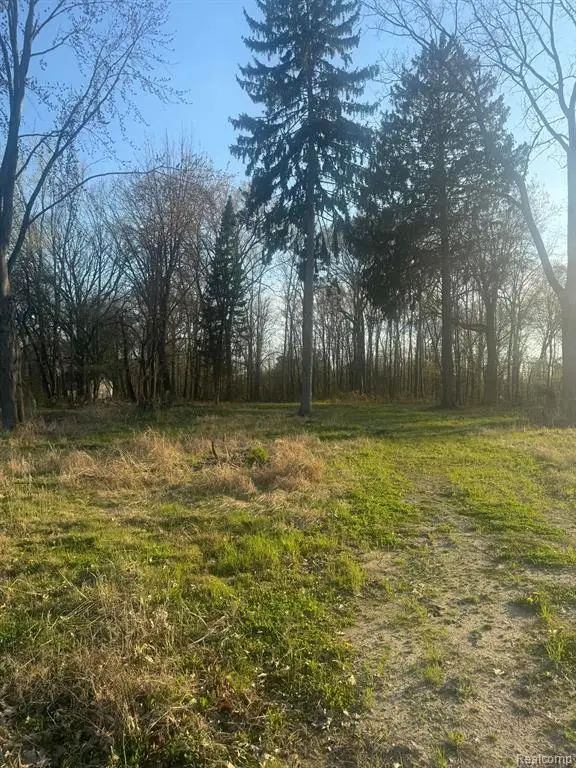 24960 Crocker, Harrison Township, MI  - Image #3