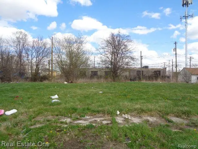 11676 Saint Louis, Hamtramck, MI 48212 - #1