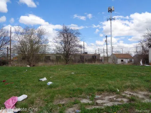 11676 Saint Louis, Hamtramck, MI 48212 - #2