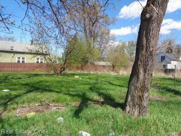 11808 Saint Louis, Hamtramck, MI 48212