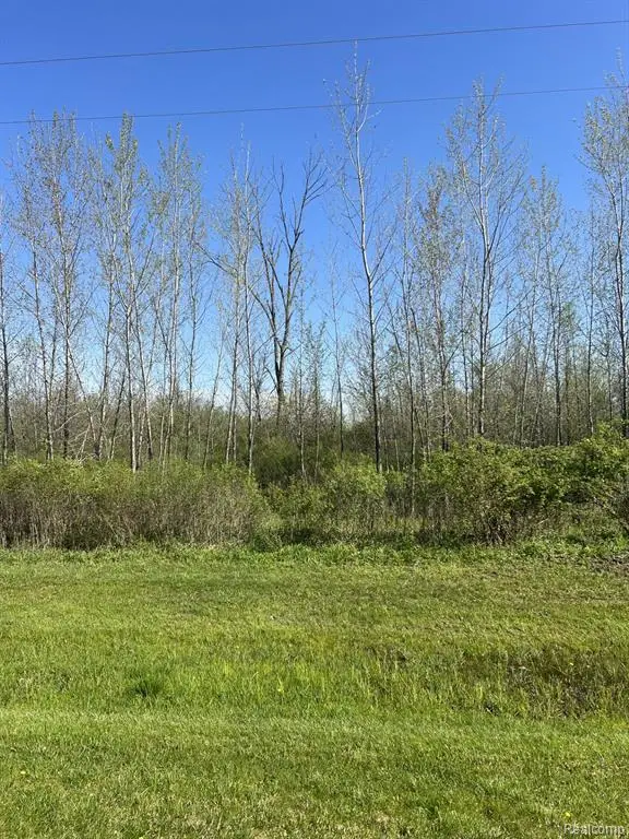 VL Turtle Lake, North Branch, MI 48461 - Image #2