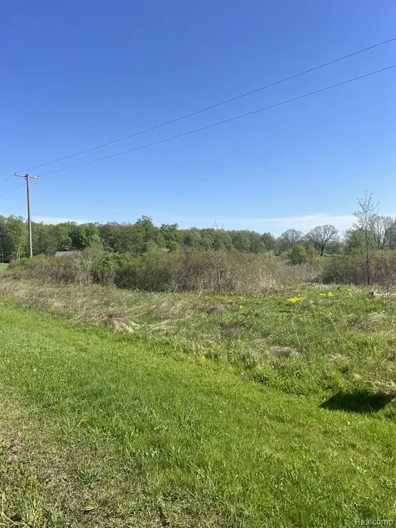 VL Turtle Lake, North Branch, MI 48461 - #1