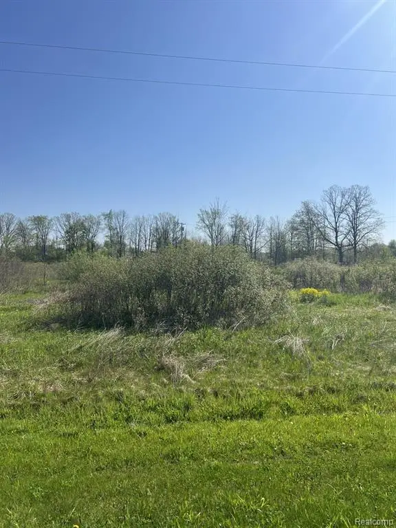 VL Turtle Lake, North Branch, MI 48461 - #2