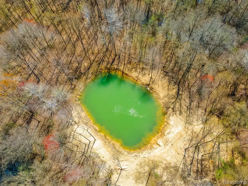 22152 Sherwood, Belleville, MI  - #1