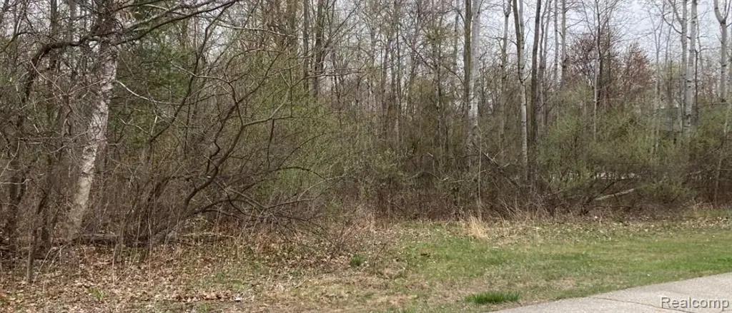 0 Birch, Pinconning, MI  - #1