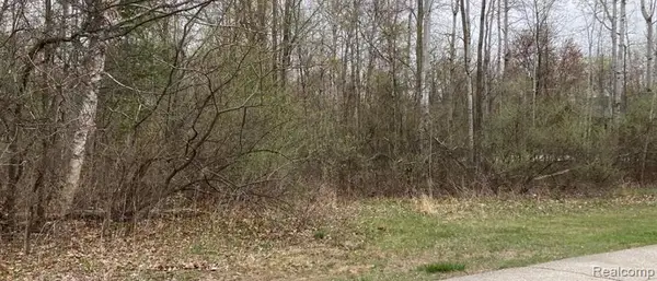 0 Birch, Pinconning, MI 