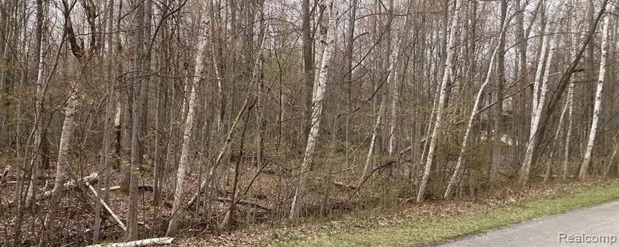 0 Birch, Pinconning, MI  - #2