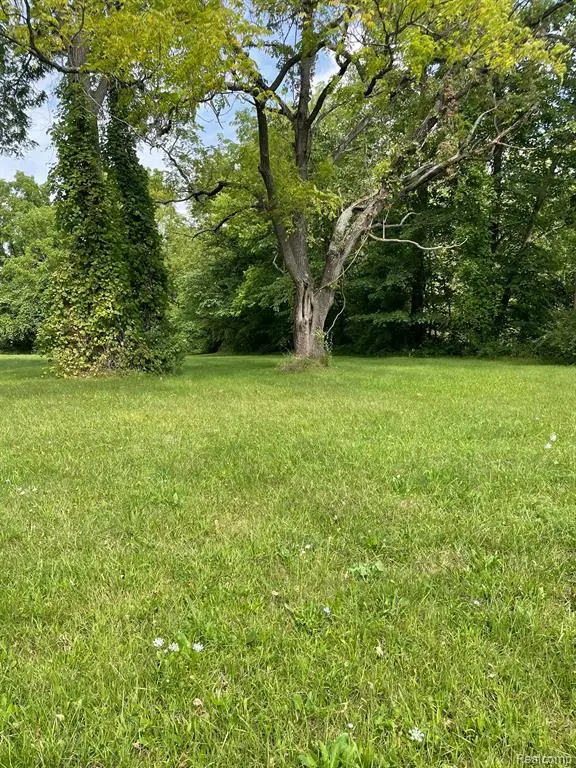 00000 Savage, Belleville, MI 48111 - Image #3