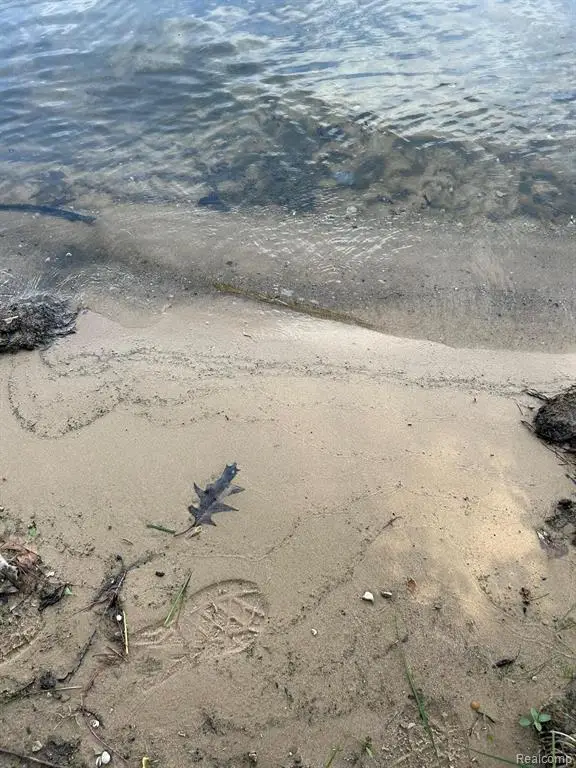 0 0 Eddie, Traverse City, MI 49685 - Image #3