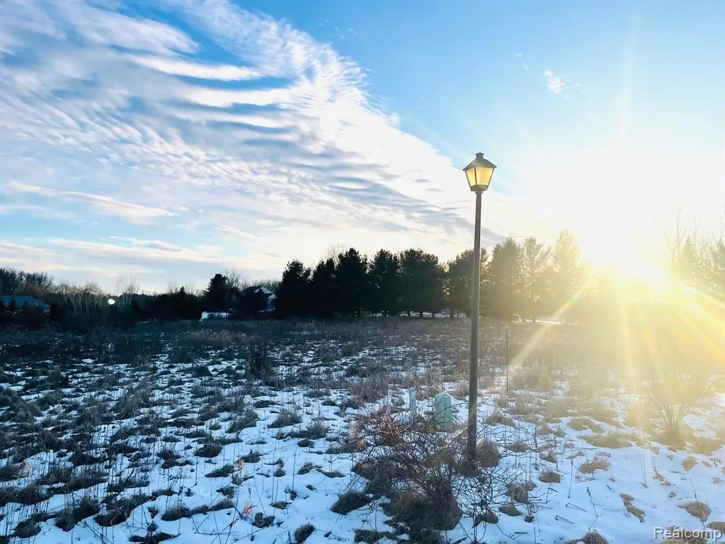 Lot 6 Sleeping Meadow, Mason, MI  - #1