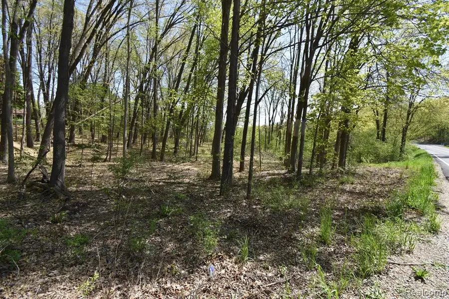 10146 Island Lake, Dexter, MI 48130 - #2