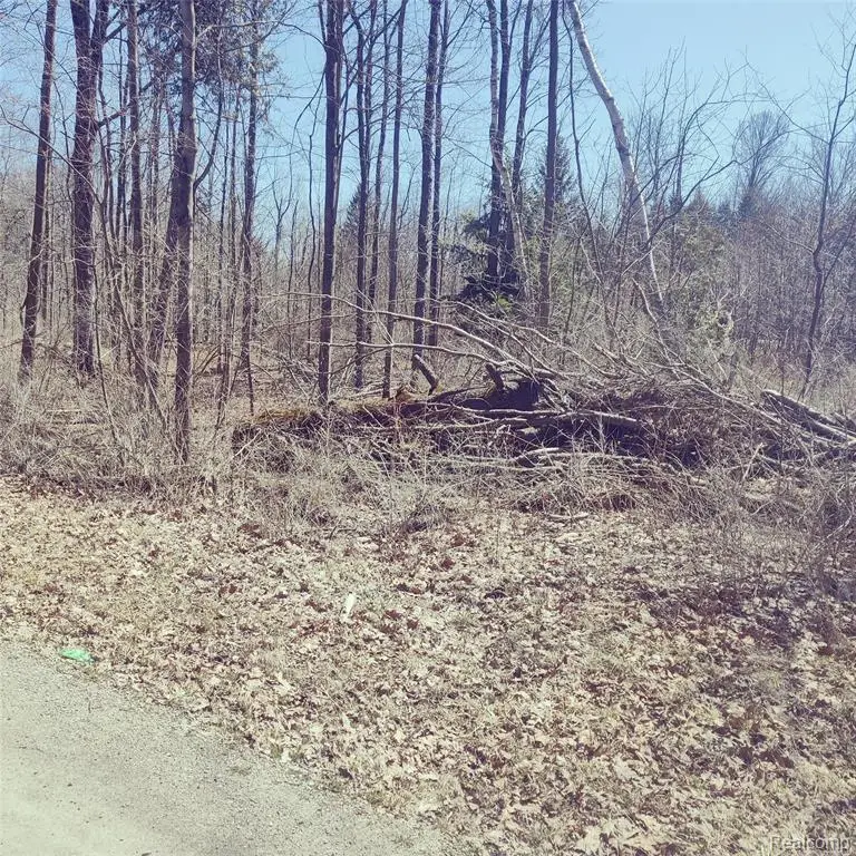 0 Schott, Harbor Beach, MI 48441 - Image #3