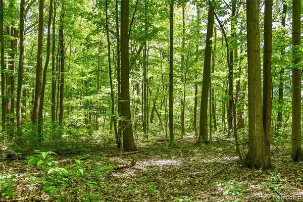 2905 N Lake Pleasant, Attica, MI 