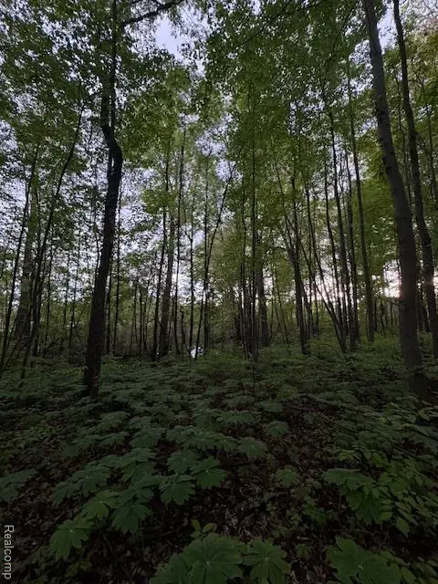 VL Lot D Trl Chevron, Highland, MI 48356 - Image #3