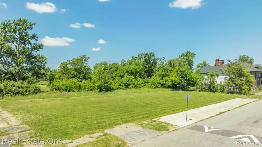1075 Coplin, Detroit, MI 48215 - #3