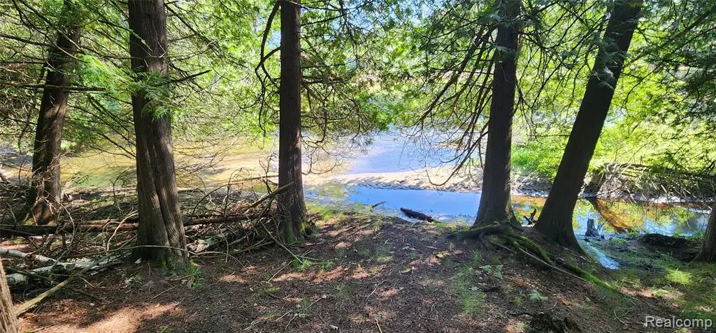 7397 Tammy, Indian River, MI  - Image #1