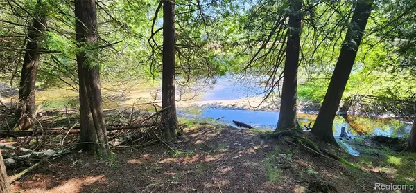 7397 Tammy, Indian River, MI 