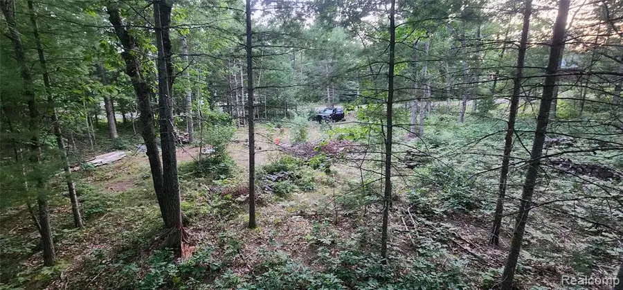 7397 Tammy, Indian River, MI  - Image #2