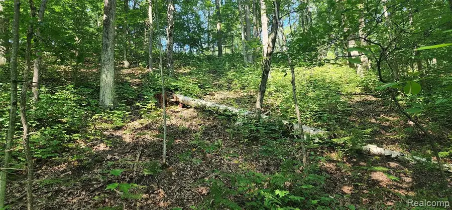 7397 Tammy, Indian River, MI  - Image #3