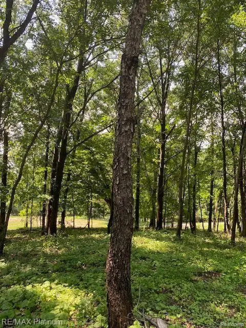 5 Sleaford-parcel 5 - 2.5 Acres, Howell, MI  - Image #2