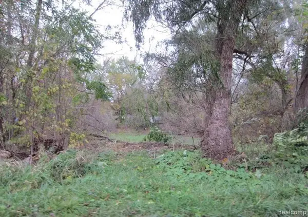 VACANT LAND Tackels, Holly, MI 48442