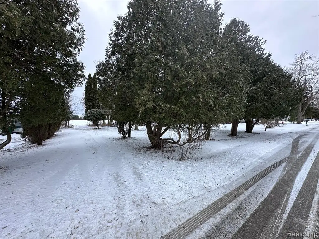 9 Livingston, Yale, MI  - Image #1