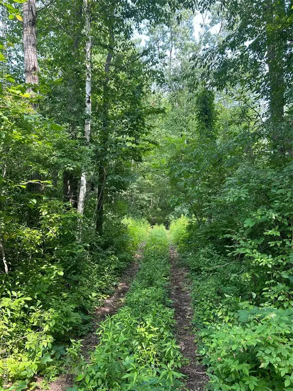 0 Chambers, Mayville, MI 48744