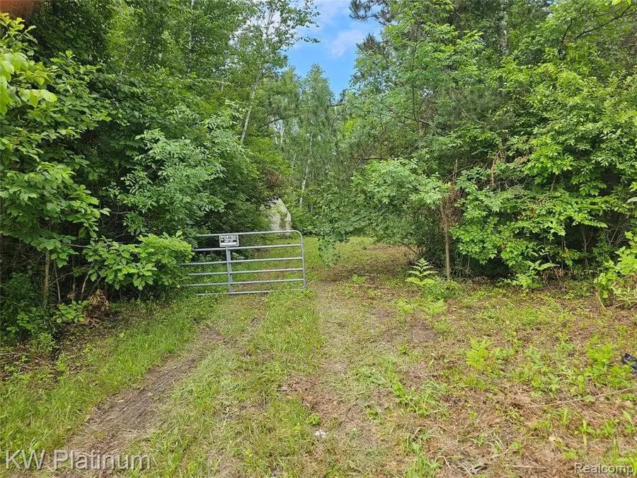 0 Ravenswood, Kimball Township, MI 48074 - Image #3
