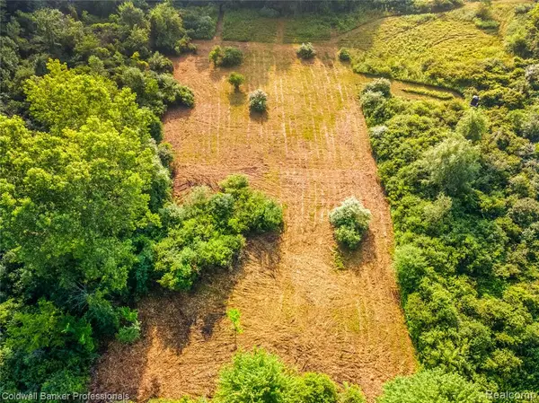 0000 Mckean, Willis, MI 48191