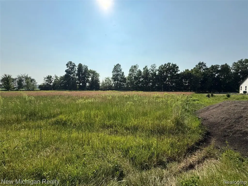 9807 Oak Ridge, Hazelton, MI  - Image #1