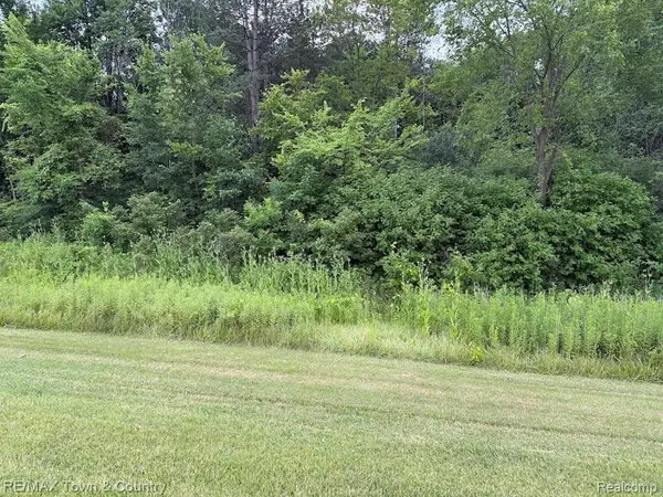 0 Vienna, Clio, MI 48420