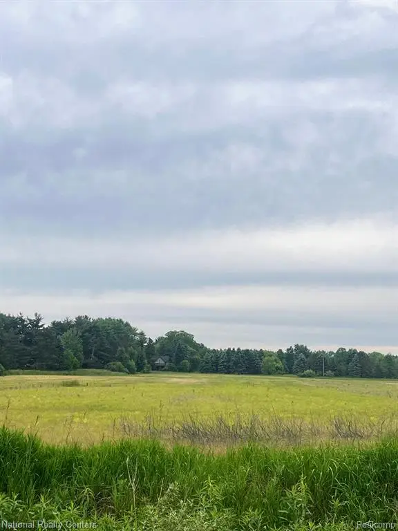 PARCEL G Burt, Allenton, MI 48002 - Image #2