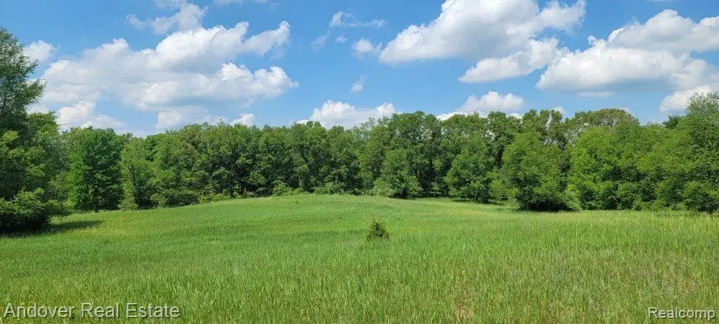 000B Kingsbury, Delton, MI 49046 - #1