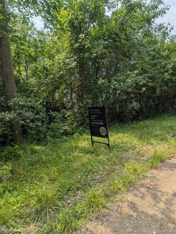 0000 Ward Road Ward Road, Bloomfield Hills, MI 48304 - #1