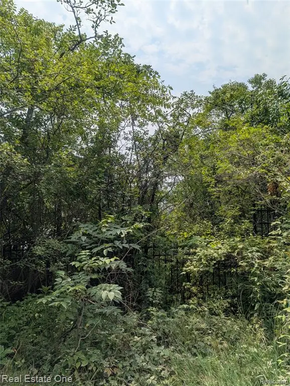 0000 Ward Road Ward Road, Bloomfield Hills, MI 48304 - #2