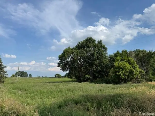 00 Murphy Lake, Silverwood, MI 48760 - Image #3