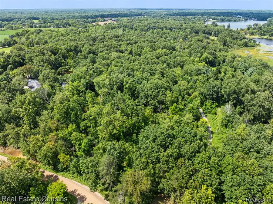 0 Lovejoy, Linden, MI 48451 - Image #3