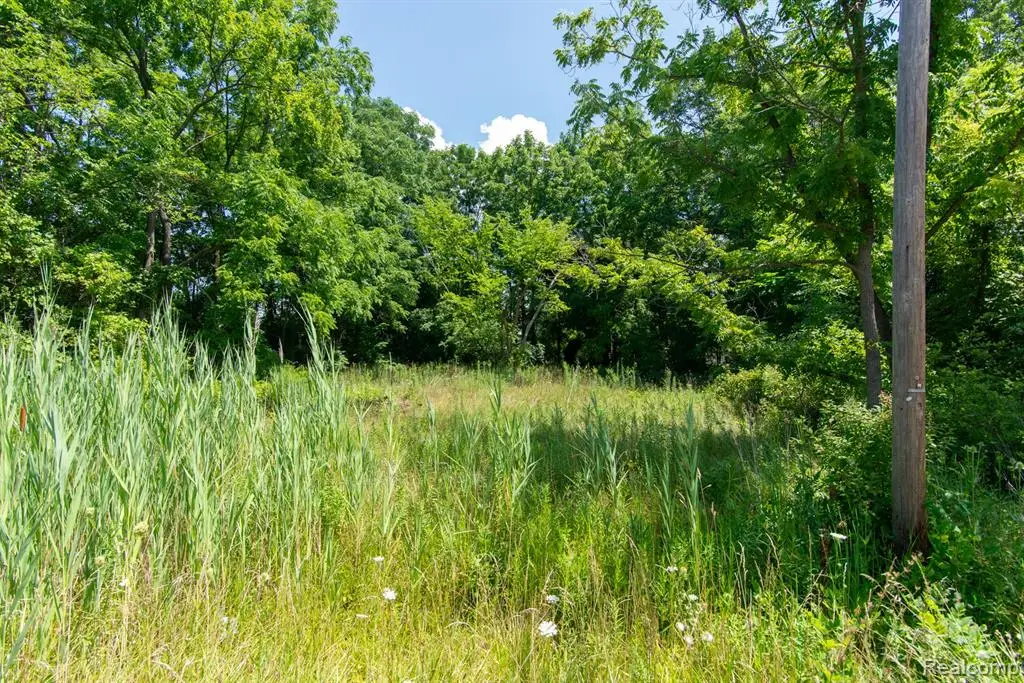 Lot 106 Hollywood, Romulus, MI 48174 - #1