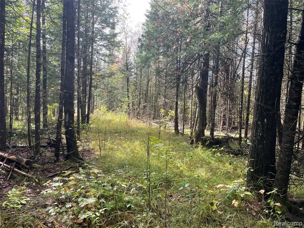 0 M-28, Newberry, MI 49868 - #1