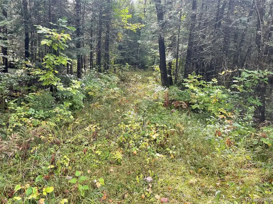 0 M-28, Newberry, MI 49868 - #2