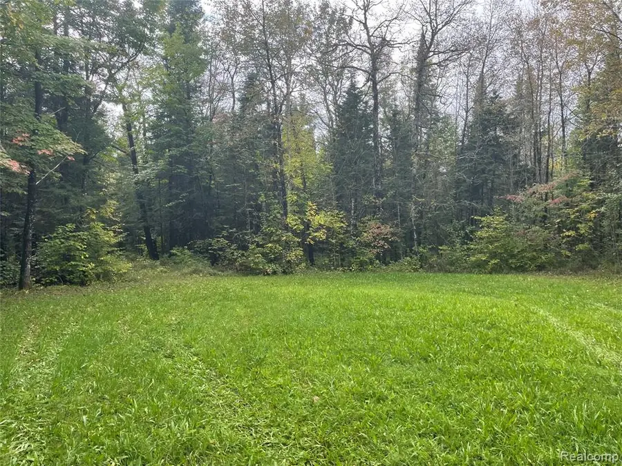 0 M-28, Newberry, MI 49868 - #3