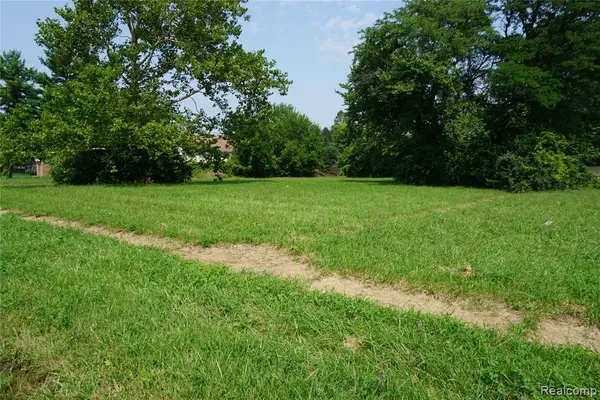 Vacant Wayland, Inkster, MI 