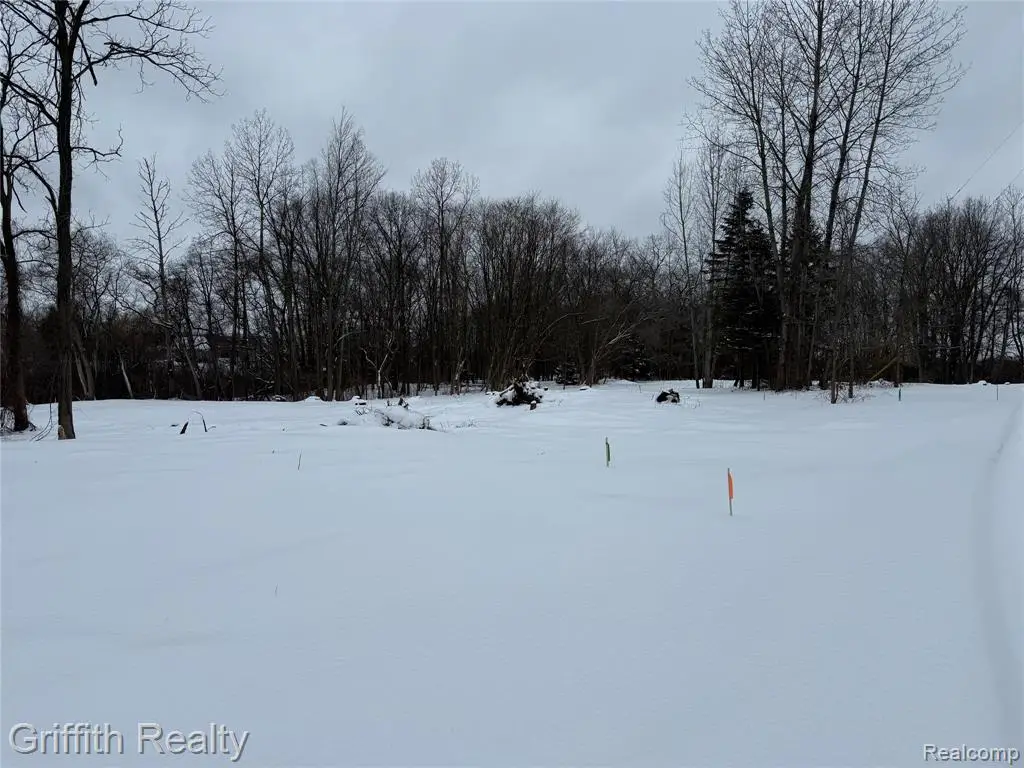 4433 Brighton Parcel B, Howell, MI 48843 - Image #1